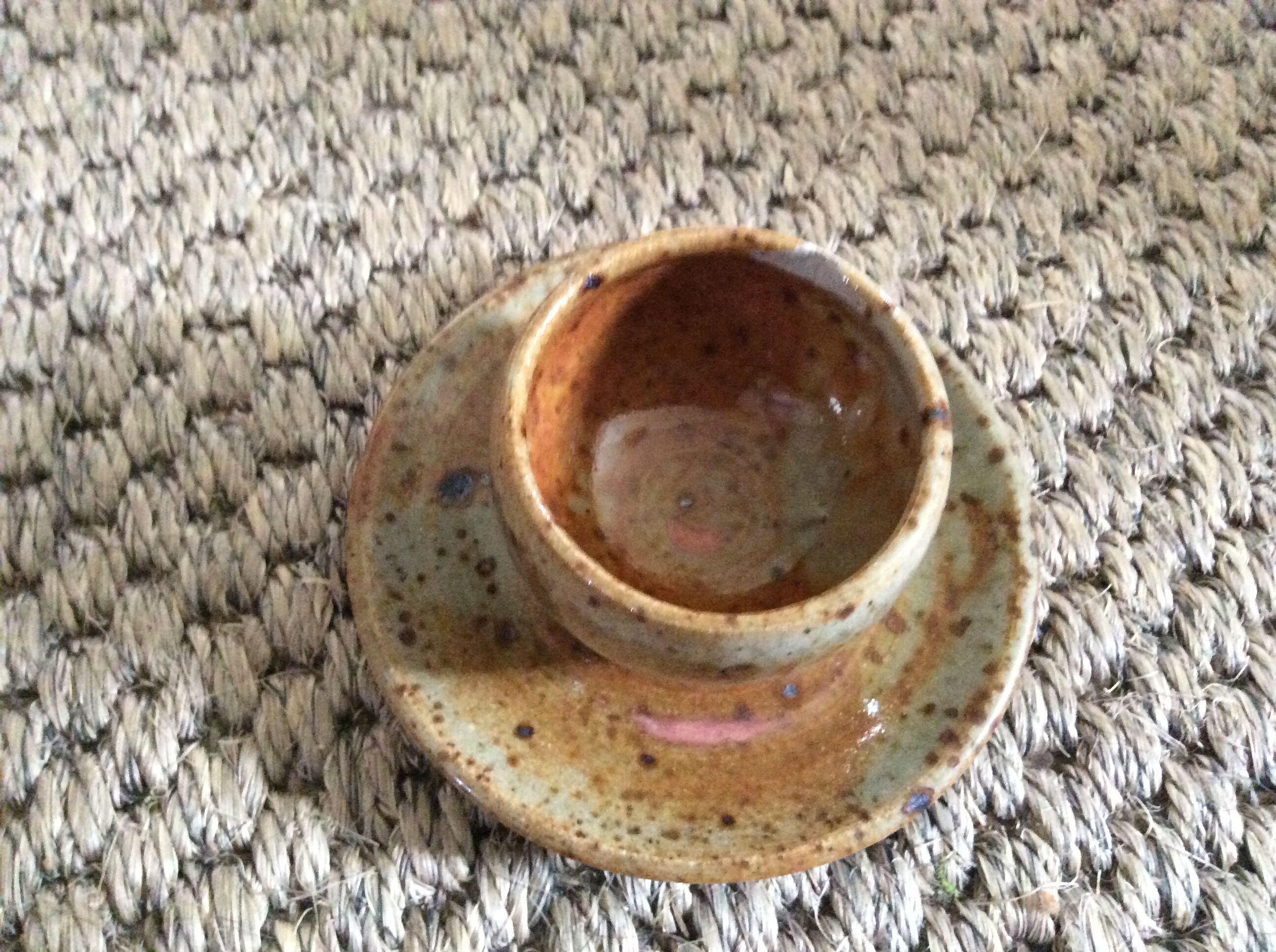 Series of 5 cockroaches