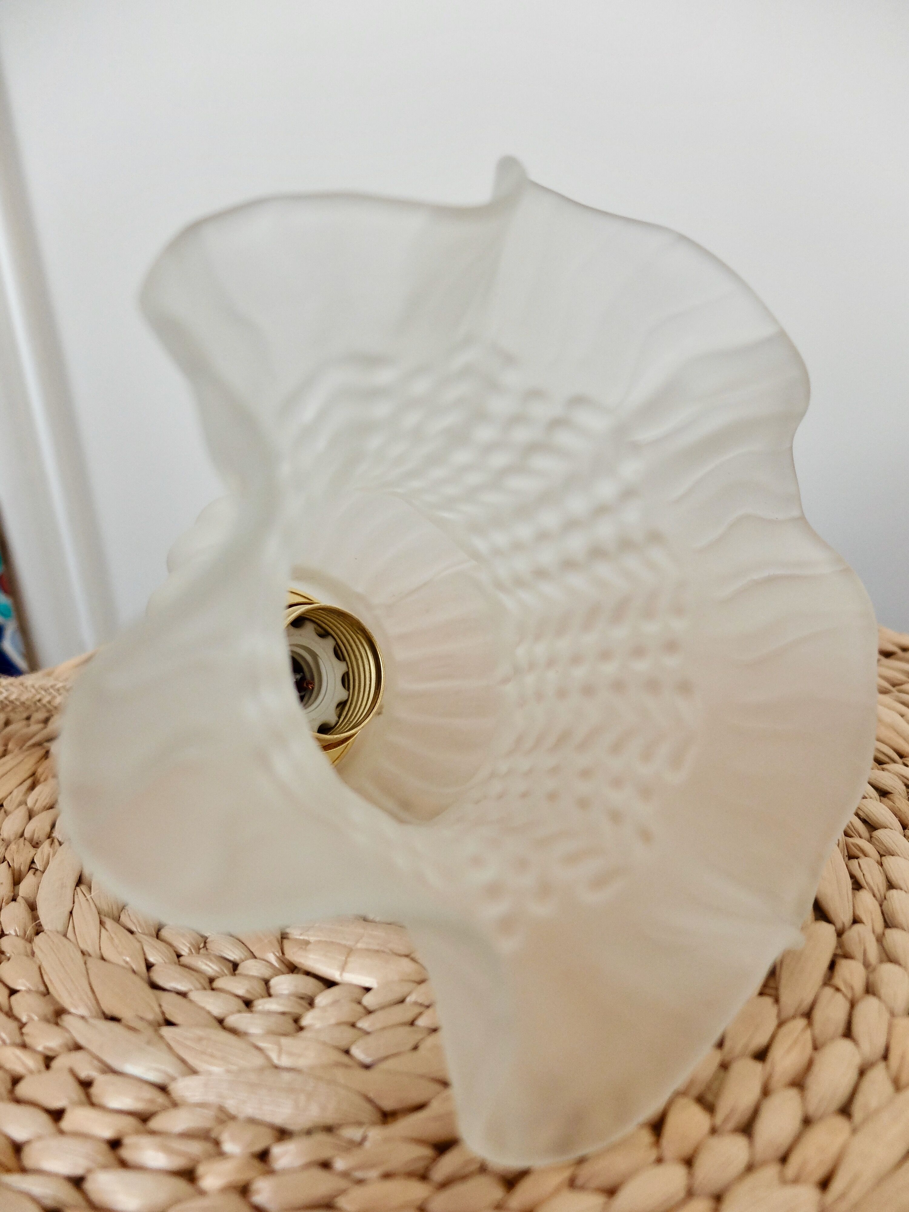 Hand lamp tulip suspension