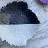 Lot 8 assiettes + 1 plat