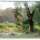 Oil on canvas - the river