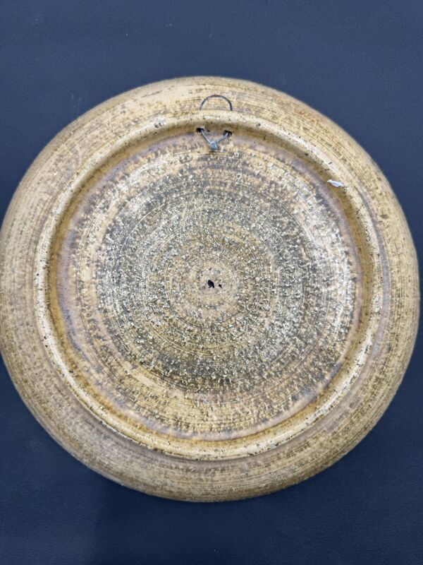 Plat à décor de poissons Raphaël Giarrusso