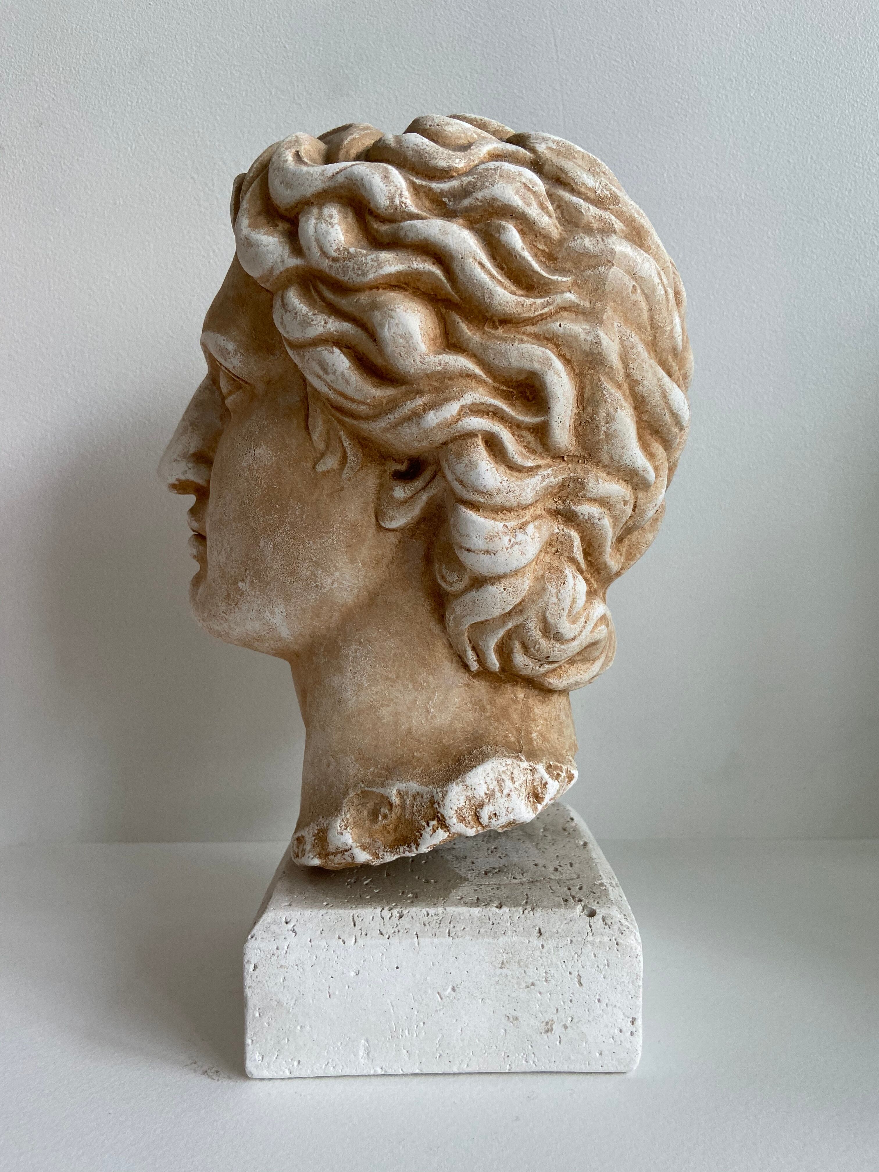 Buste en plâtre Alexandre le Grand