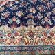 Persian style carpet in wool 250x354 cm
