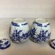 Paire de vases fleurs bleues