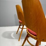 Pair of TON Model 514 Dining Chairs – Radomír Hofman, 1960s