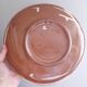 Puigdemont ceramic fish wall plate