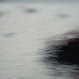 1970s French plexiglass lounge chair