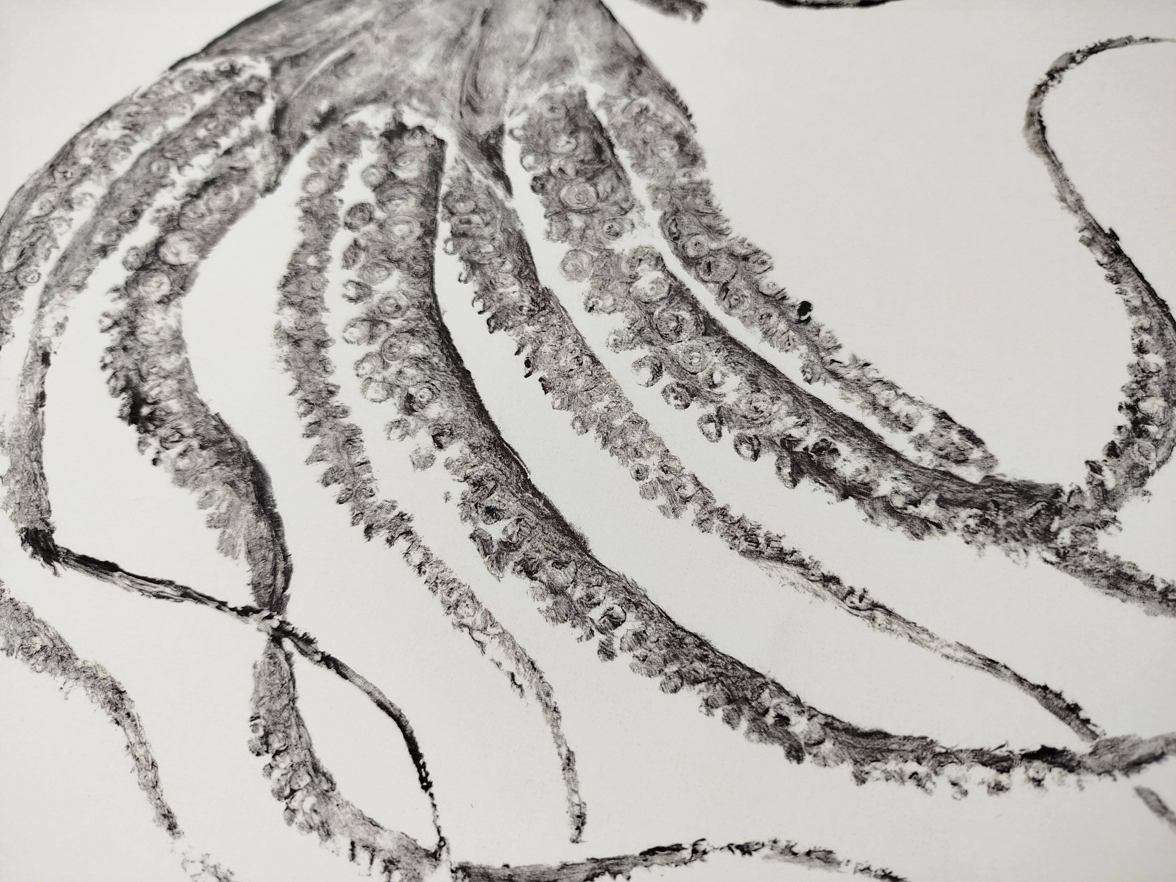 Framed art print, "Octopus Print" (gyotaku)