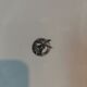 Vintage ear dish silkscreened flower mill of Wolves orchies France