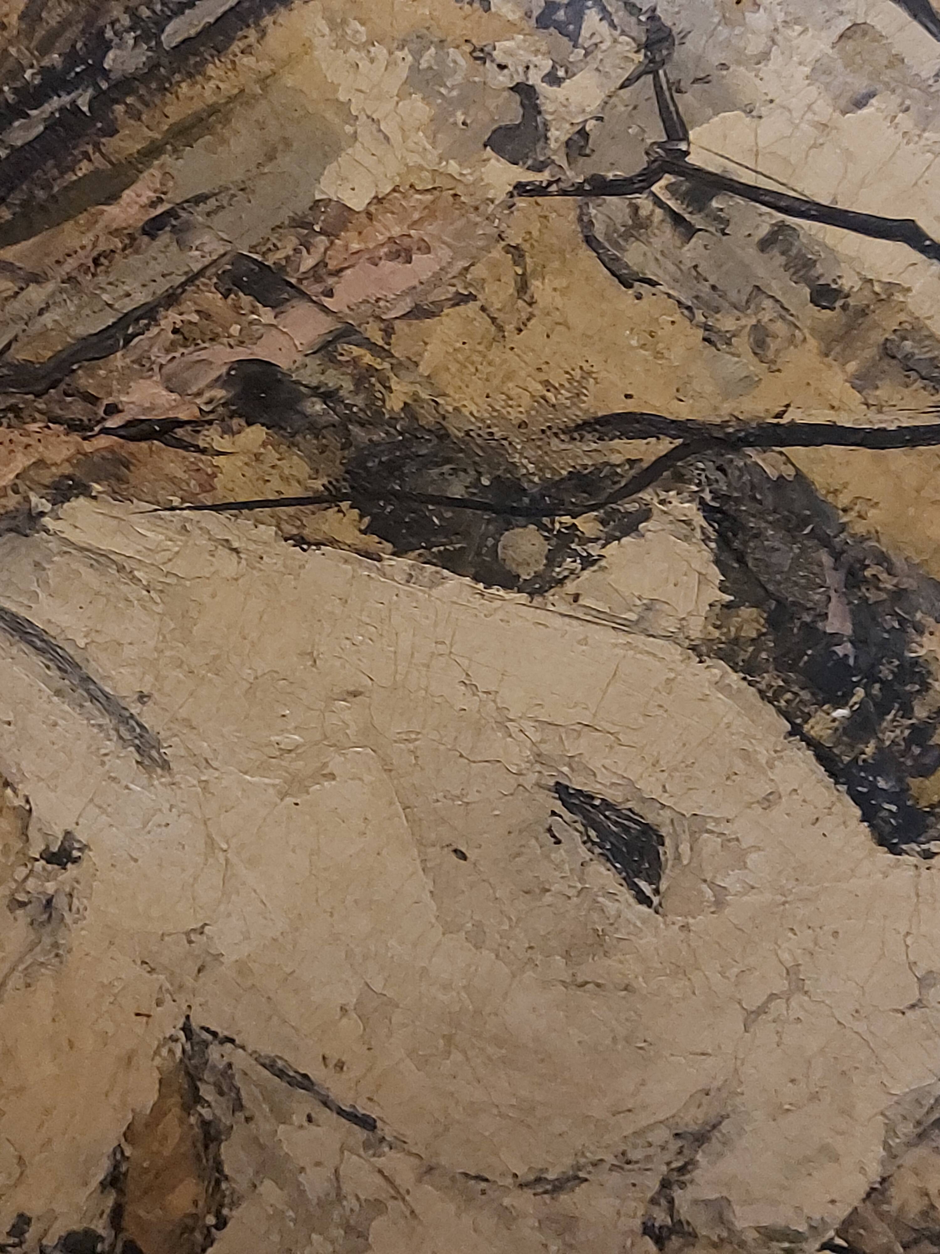 Oil painting on canvas, Claure Jallois, landscape cevenol ( 1959 )