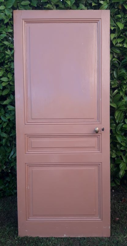 Communication door 199x82,8cm old molded