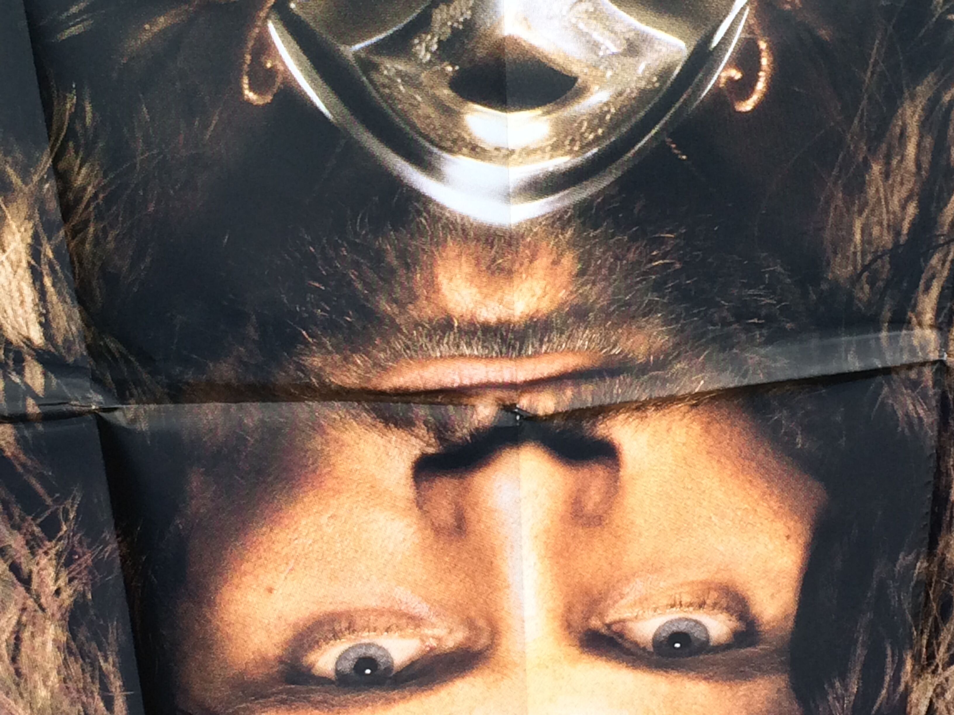 Cinema poster the lord of the rings