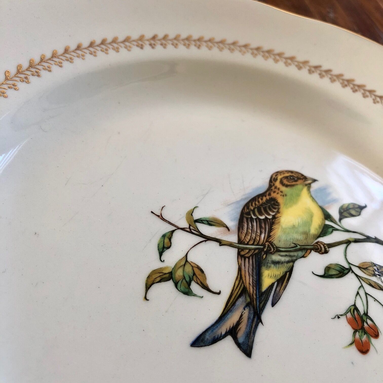 Plate Betting Sparrows