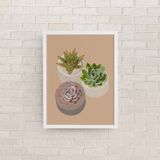 Illustration "Succulent Trio" by Noums Atelier