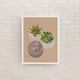 Illustration "Succulent Trio" by Noums Atelier