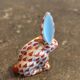Herend lapin