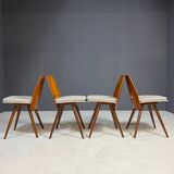 Set of four Tatra dining chairs, Czechoslovakia, 1960s