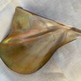 Vintage mother-of-pearl