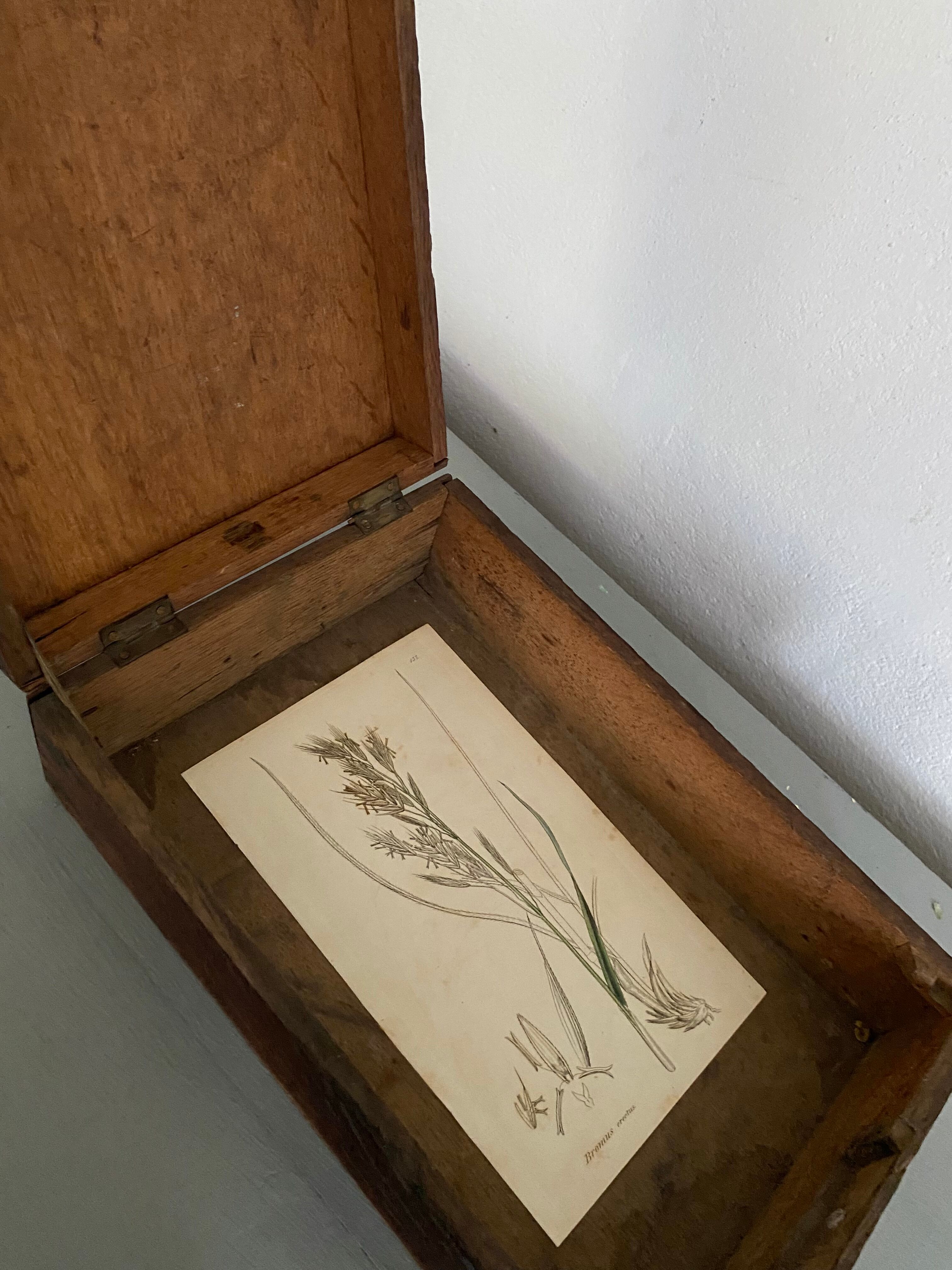 Wooden box lid