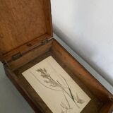 Wooden box lid