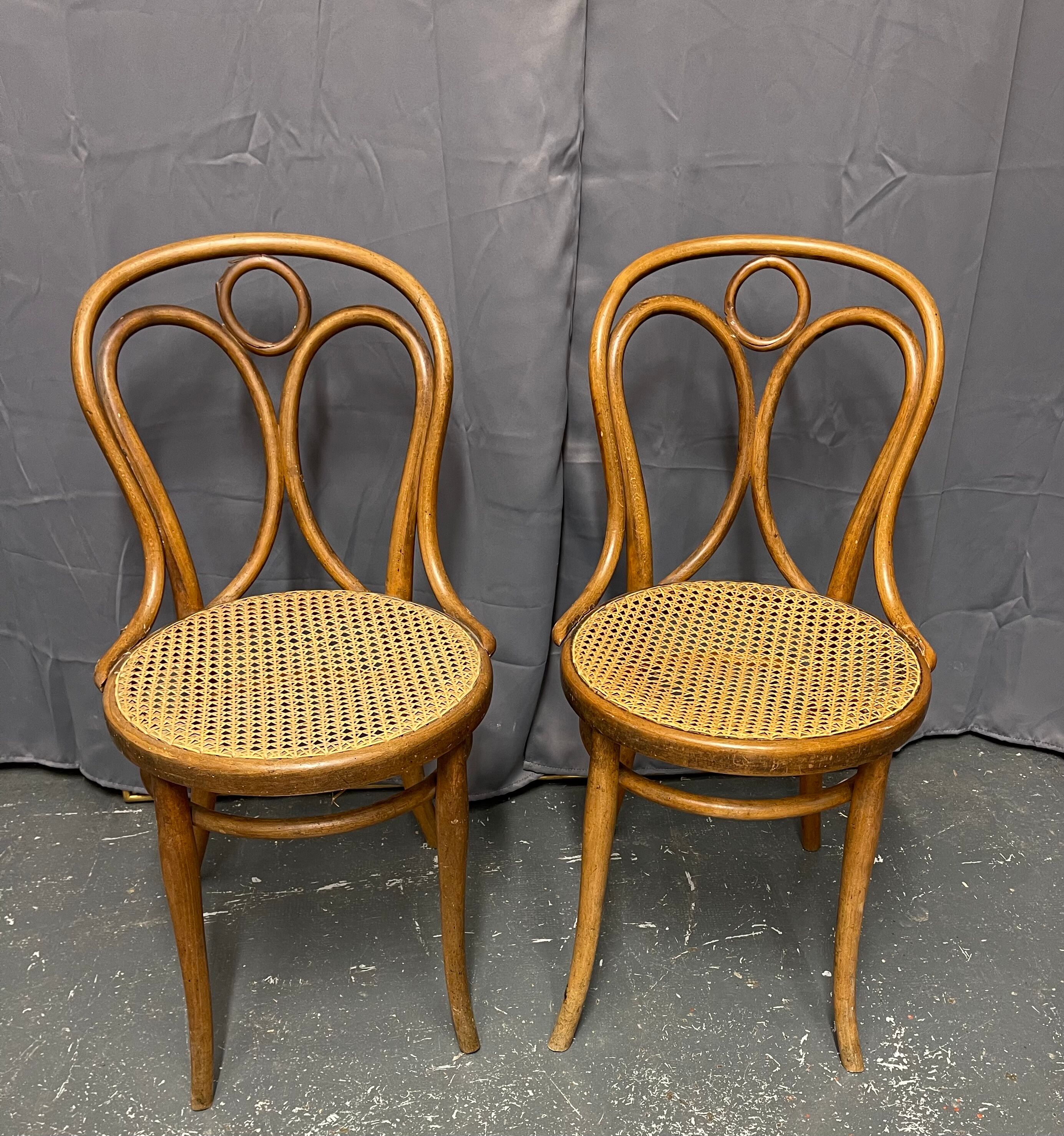 Paire de chaises Thonet n 19 estampillées thonet