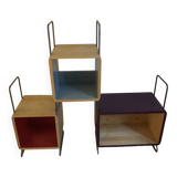 Nonah Salamander Children's Library