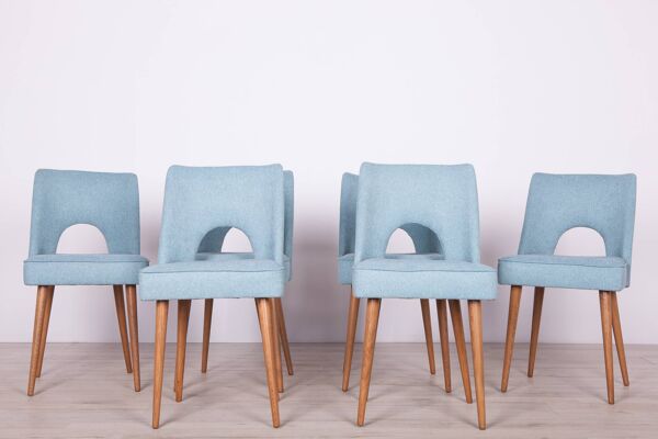 Chaises en coquillage polonaises de l'usine de meubles de Bydgoszcz, années 1960, lot de 6