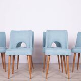 Polish Shell Chairs from Bydgoszcz Furniture Factory, 1960s, Set of 6