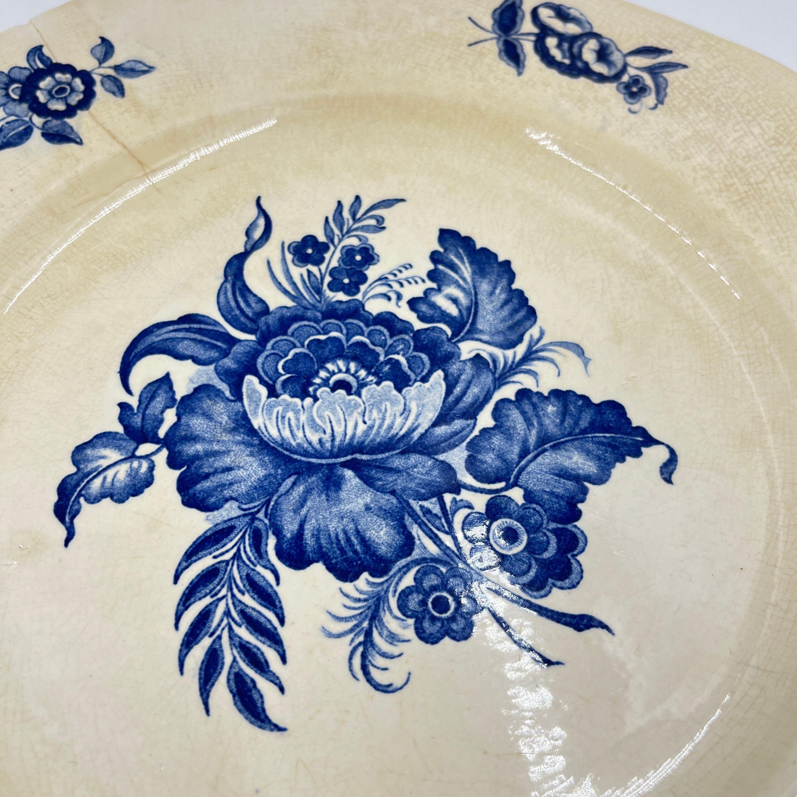 Lot de 4 assiettes décor Téna