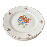 Antique plates - Moulin des Loups porcelain, Orchies pattern, France