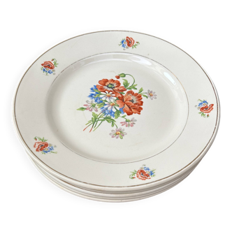 Assiettes anciennes - Porcelaine Moulin des Loups Motif Orchies France