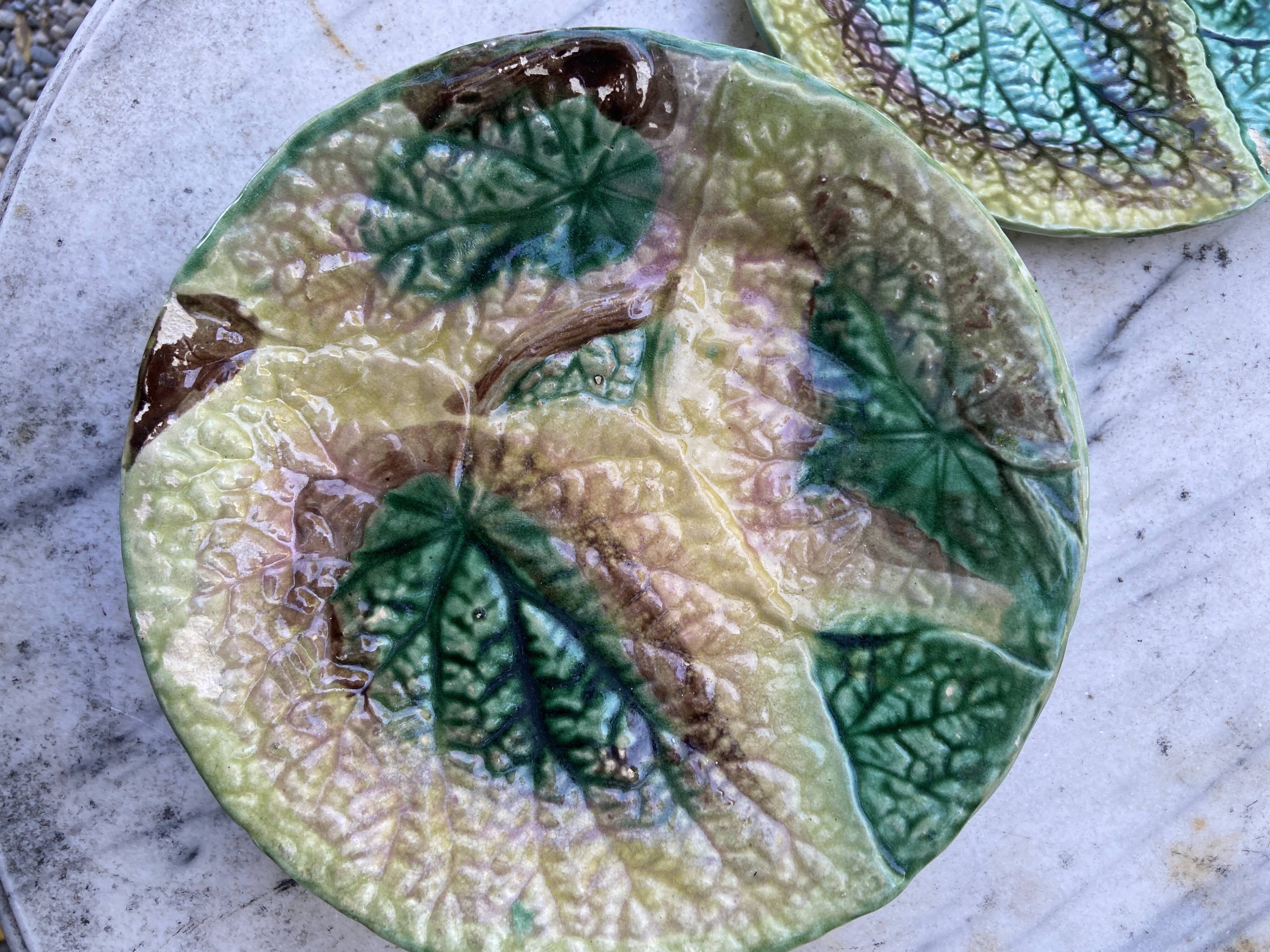 Set 8 slush plates with leaf decoration