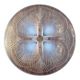 Lalique coupe coquille