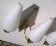 Pair of sconces by Angelo Lelii for Arredoluce 1950 s