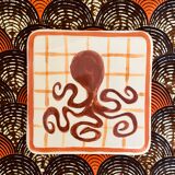 Octopus underside