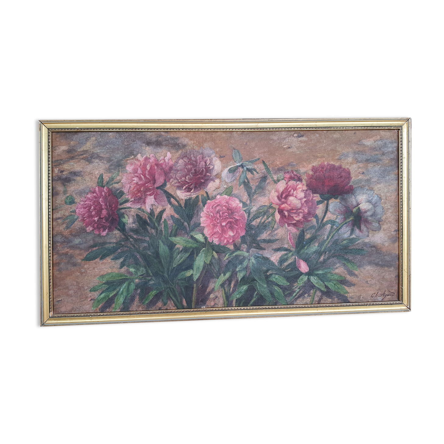 Ancient peonies painting