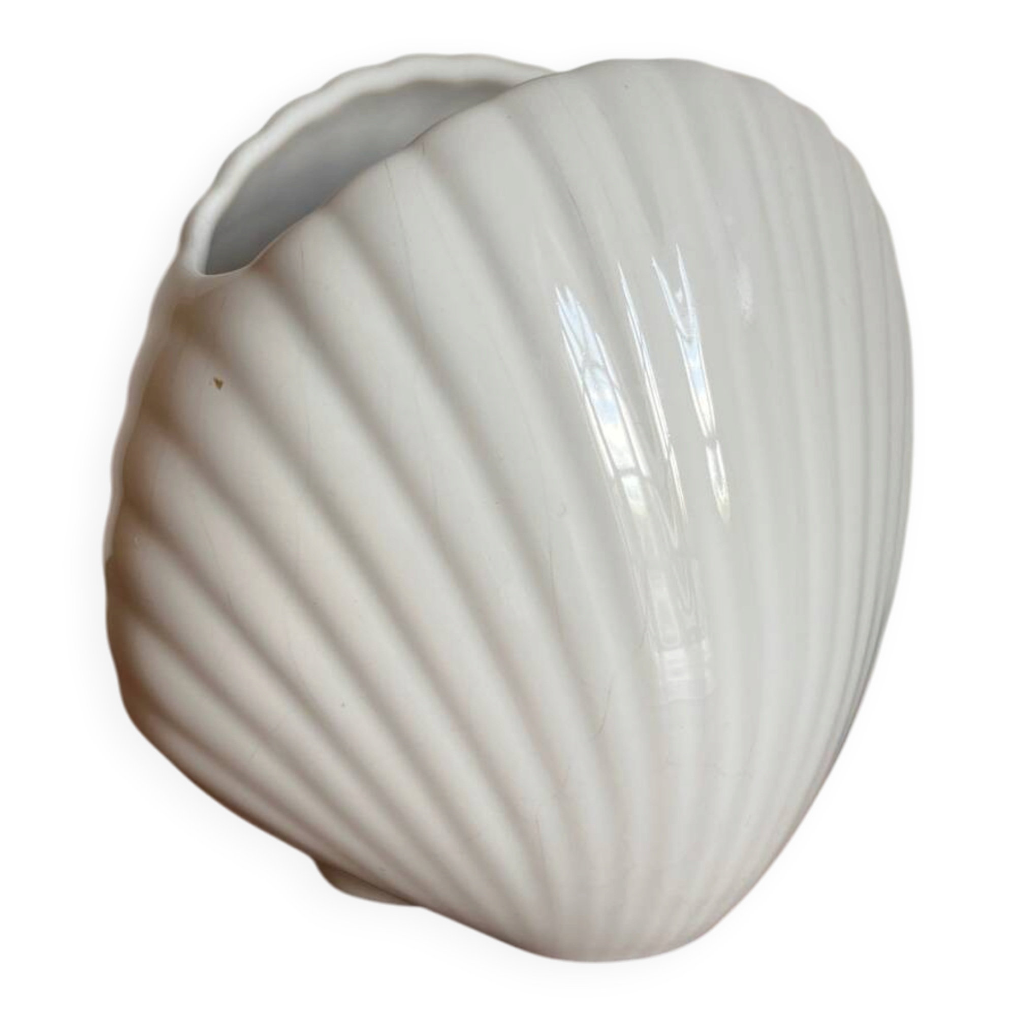 Vase coquillage