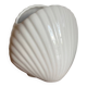 Vase coquillage