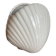 Vase coquillage