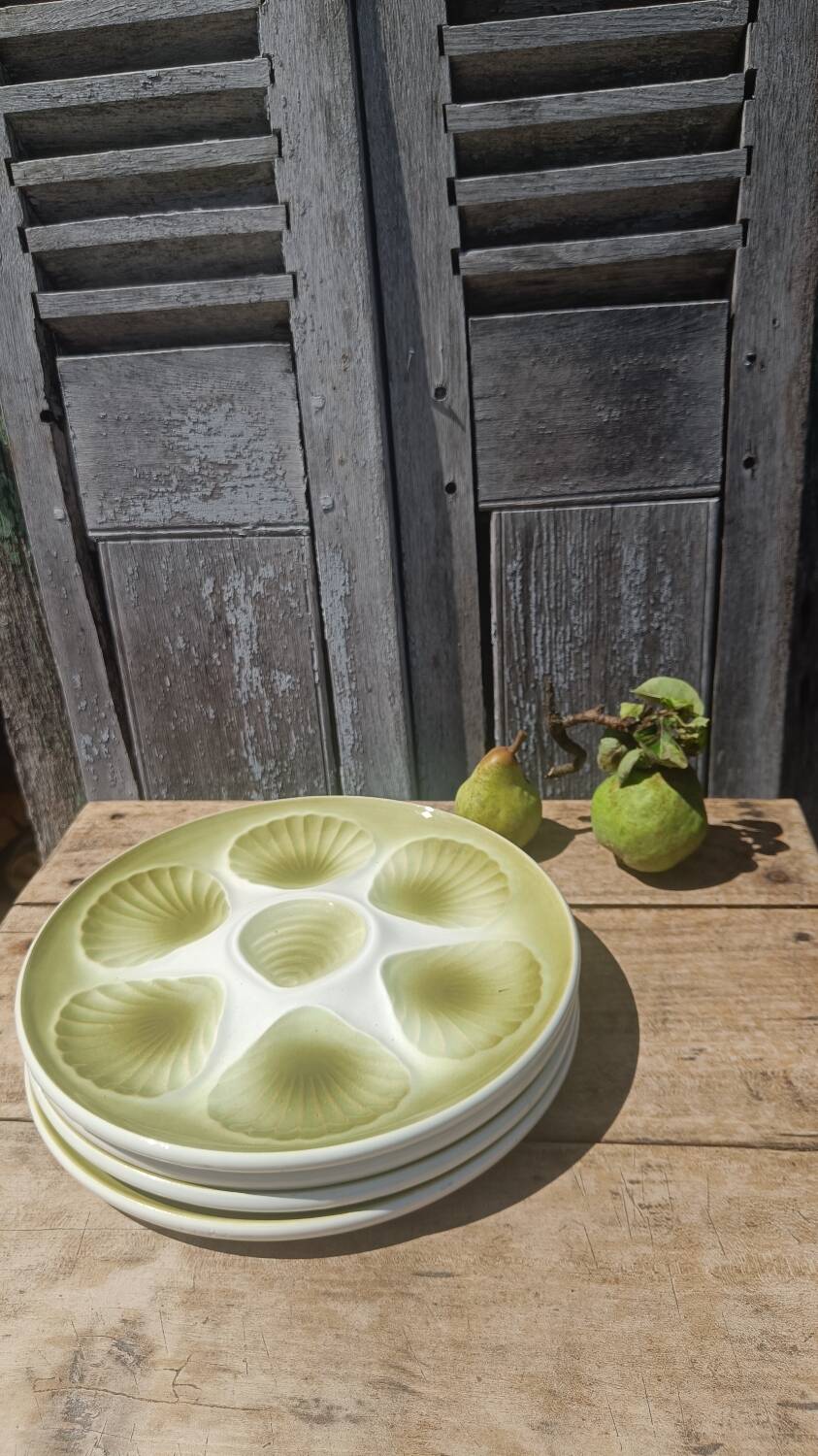 Seafood earthenware plates