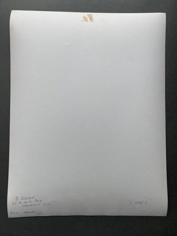 Photo argentique Cimes Bernard Darot Photo Club Nantais