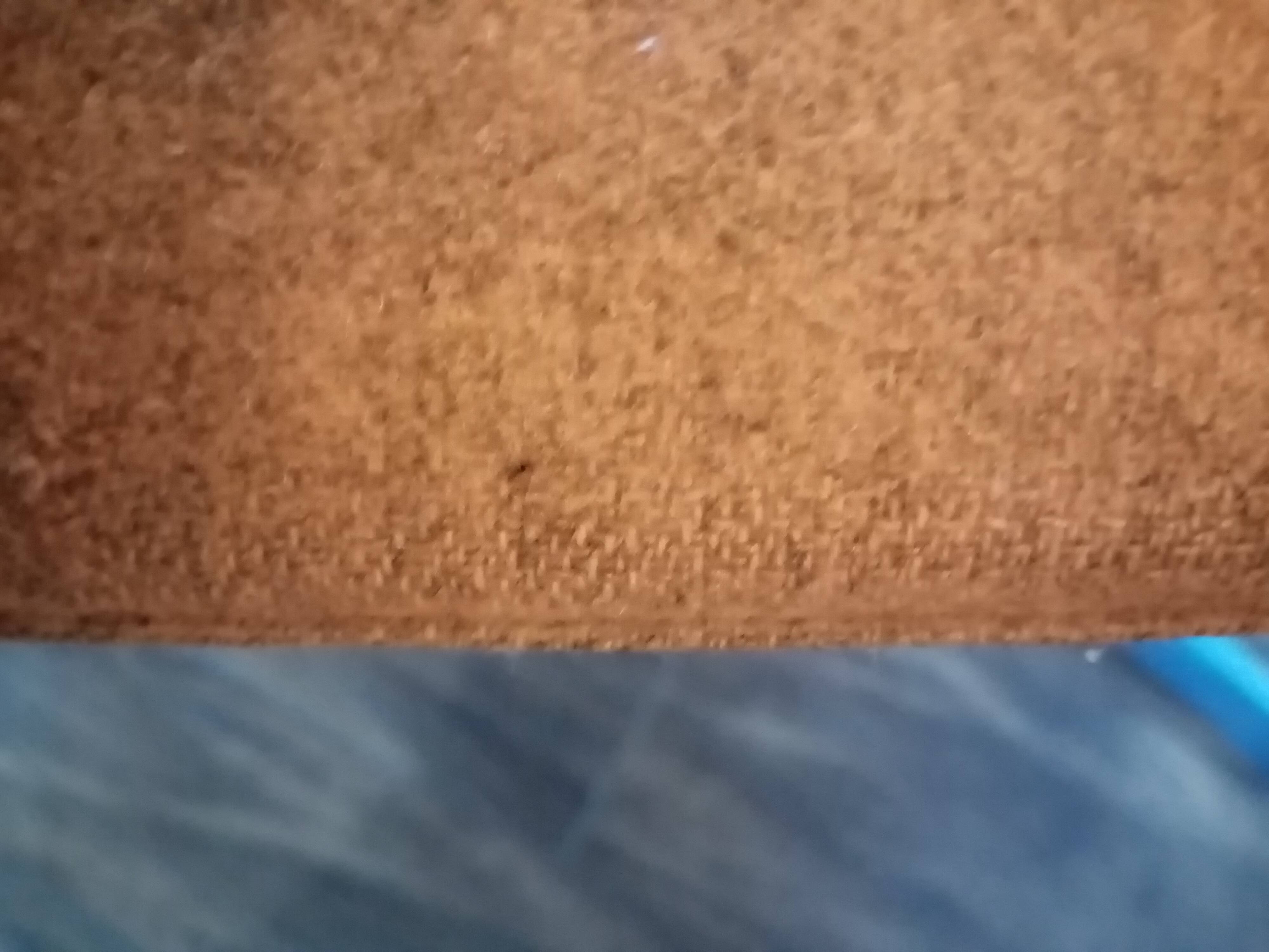 Easy chair catifa 80 for arper