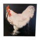 Rooster painting