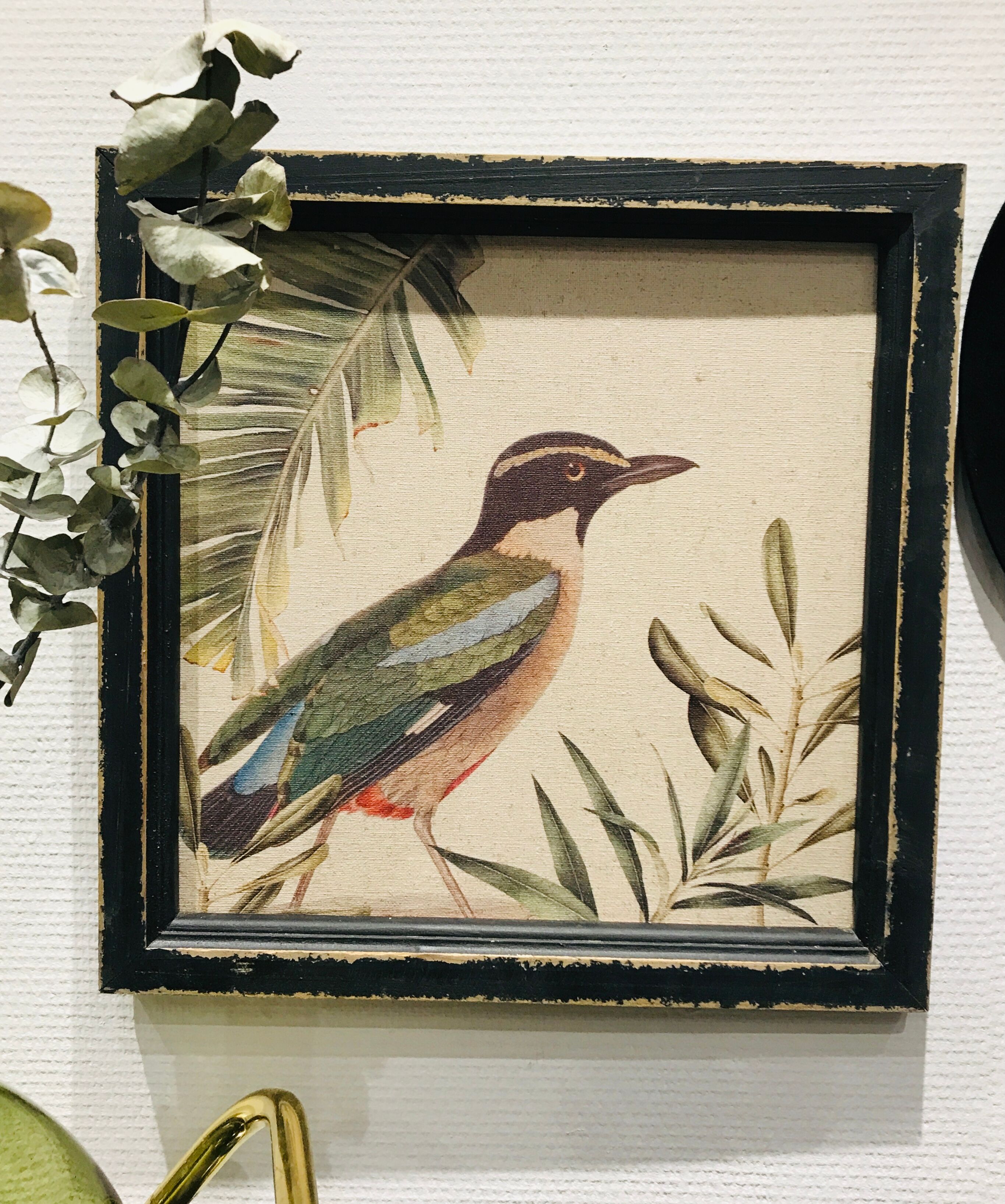 Bird frame on canvas