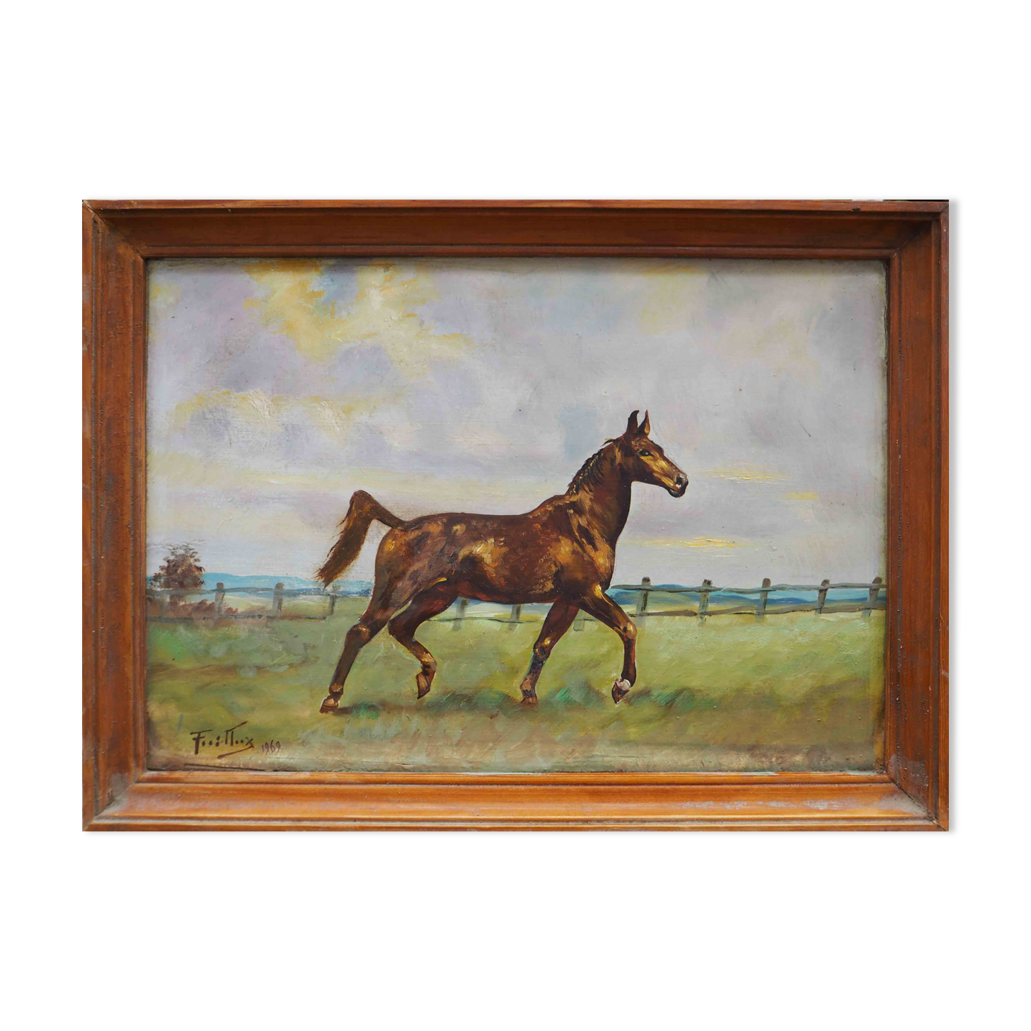 Riding painting: Horse on the trot HSP signed (to be deciphered) - 1969