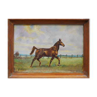 Riding painting: Horse on the trot HSP signed (to be deciphered) - 1969
