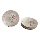 Lot of 6 deep plates porcelain seltmann weiden bavaria birds pheasant