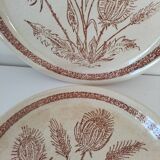 Pair of vintage plates with rusty brown thistle decoration – 1950s