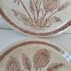 Pair of vintage plates with rusty brown thistle decoration – 1950s