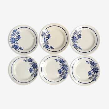 Lot de 6 assiettes plates anciennes